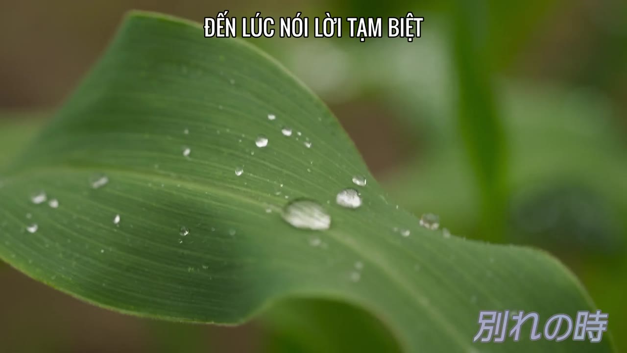 Làng tình yêu tập 4 cảnh 2