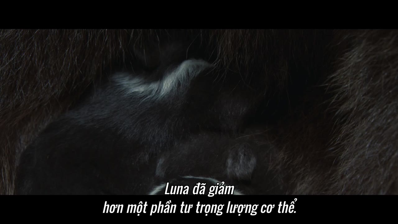 Vũ trụ tập 3