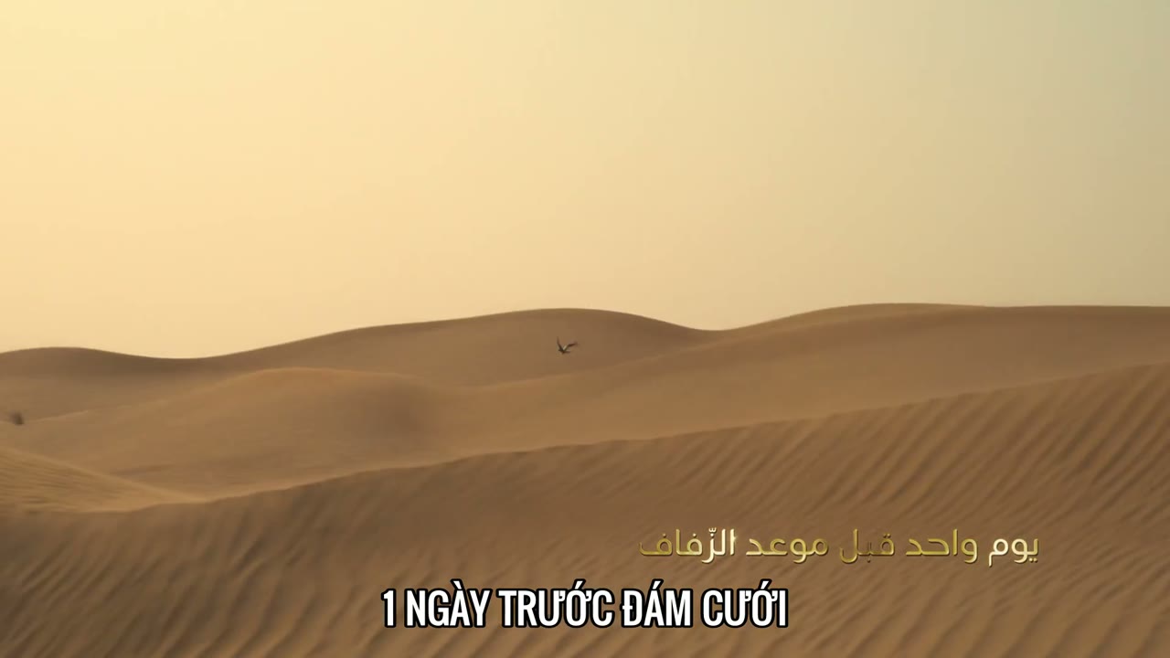 Yêu là mù quáng, Habibi tập 8 cảnh 2