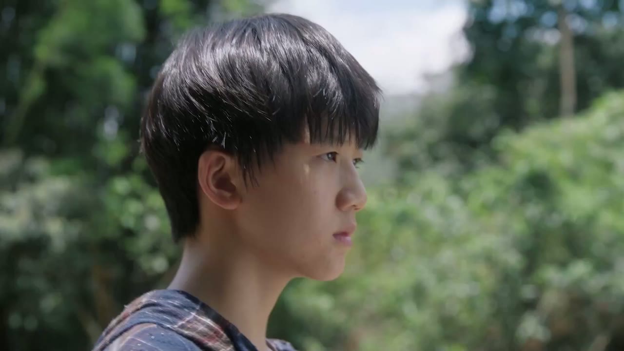 Chó Hoang Và Xương - cảnh 3