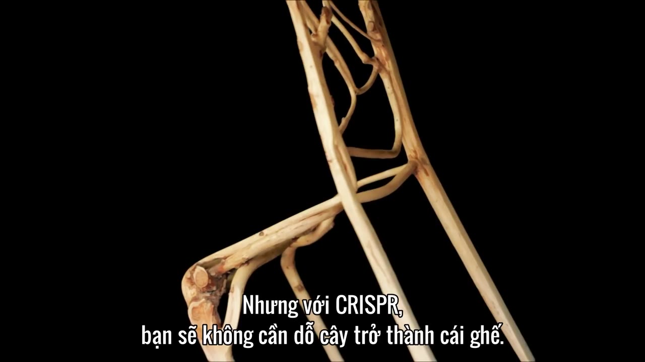 Tương lai của... tập 3 cảnh 2