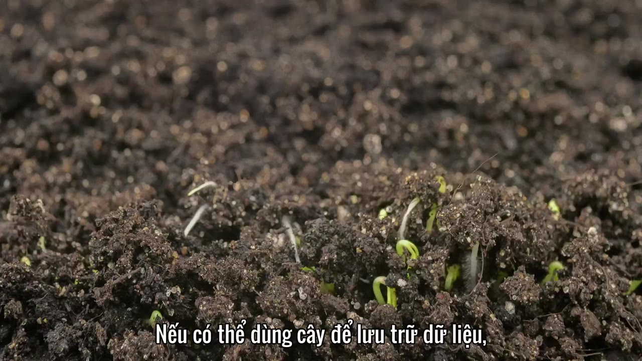 Tương lai của... tập 7 cảnh 3