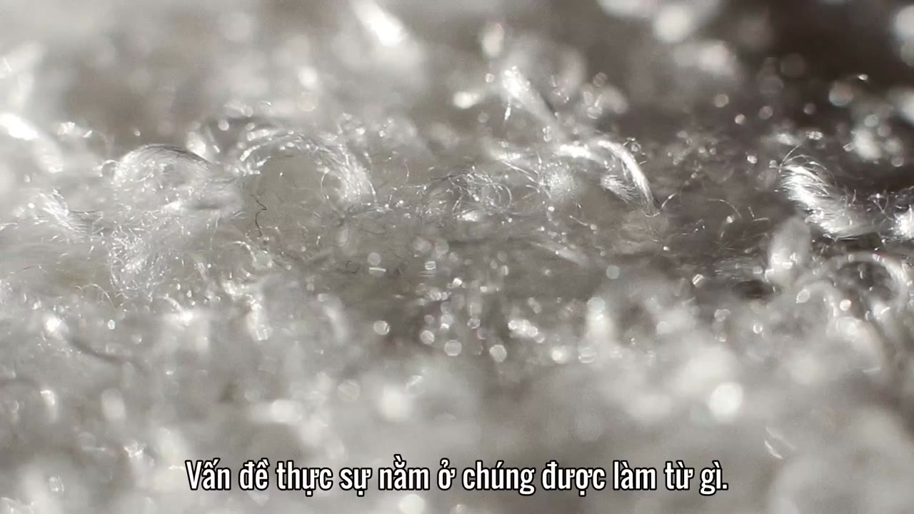 Tương lai của... tập 9