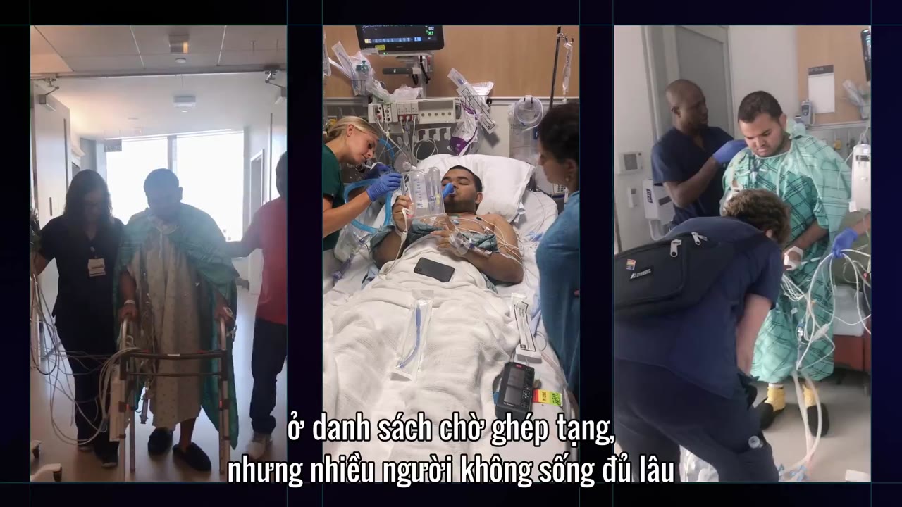 Tương lai của... tập 11