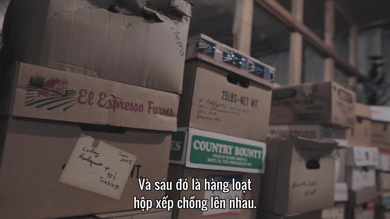 Swap Shop: Chợ vô tuyến tập 4