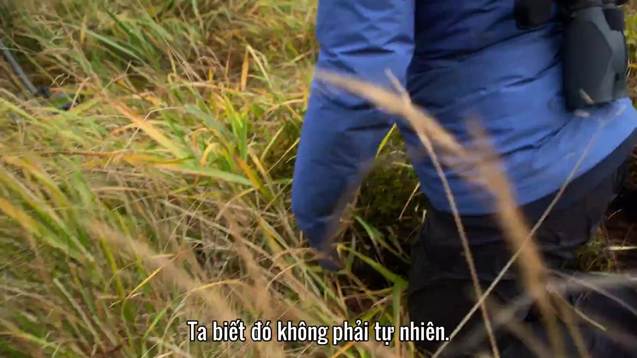 Vàng hải tặc của đảo Adak tập 6 cảnh 3