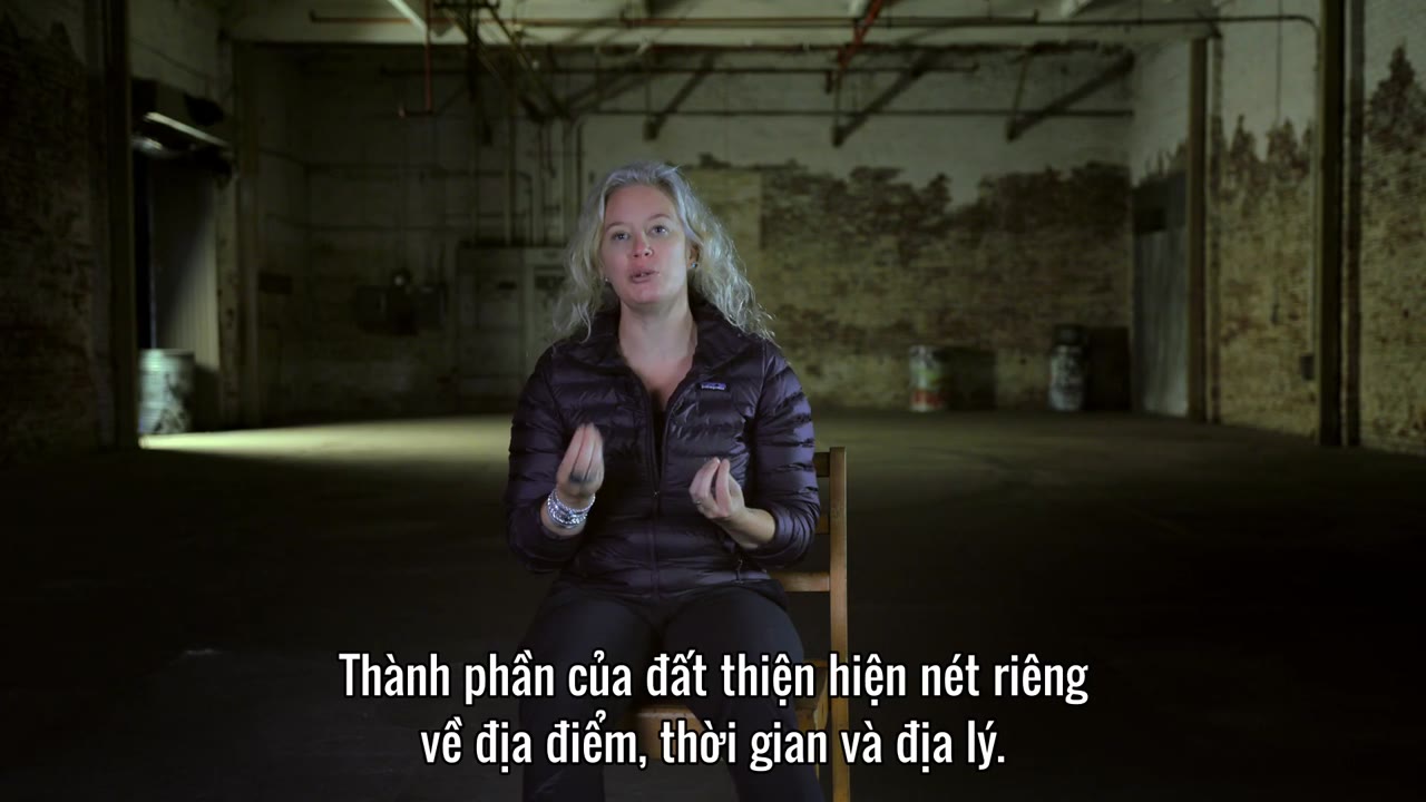 Vàng hải tặc của đảo Adak tập 8