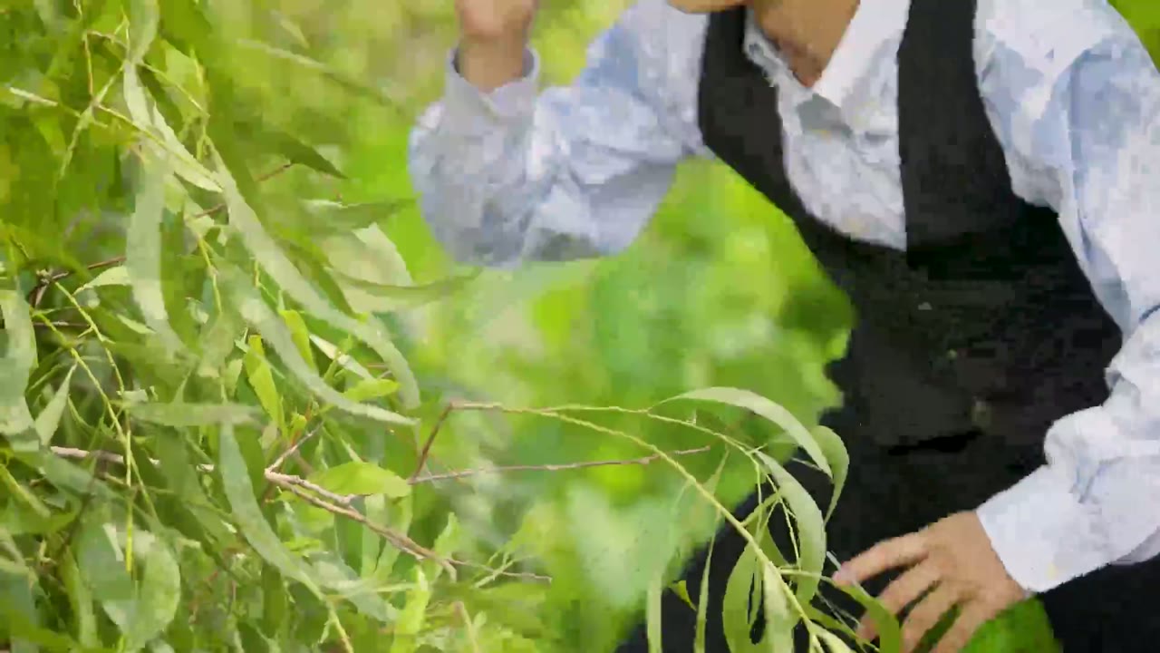 Ly Hôn Tuổi 60 tập 1 cảnh 2