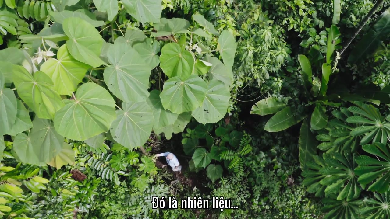 Hành Tinh Xanh tập 1