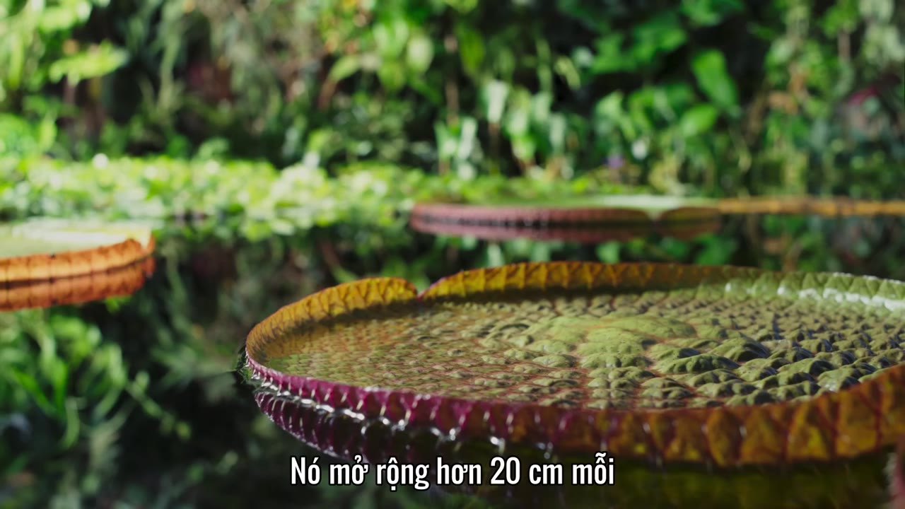 Hành Tinh Xanh tập 2