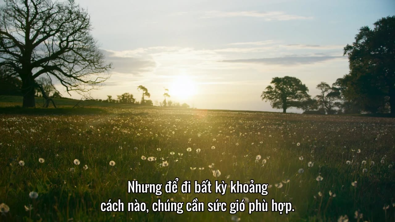 Hành Tinh Xanh tập 3 cảnh 2