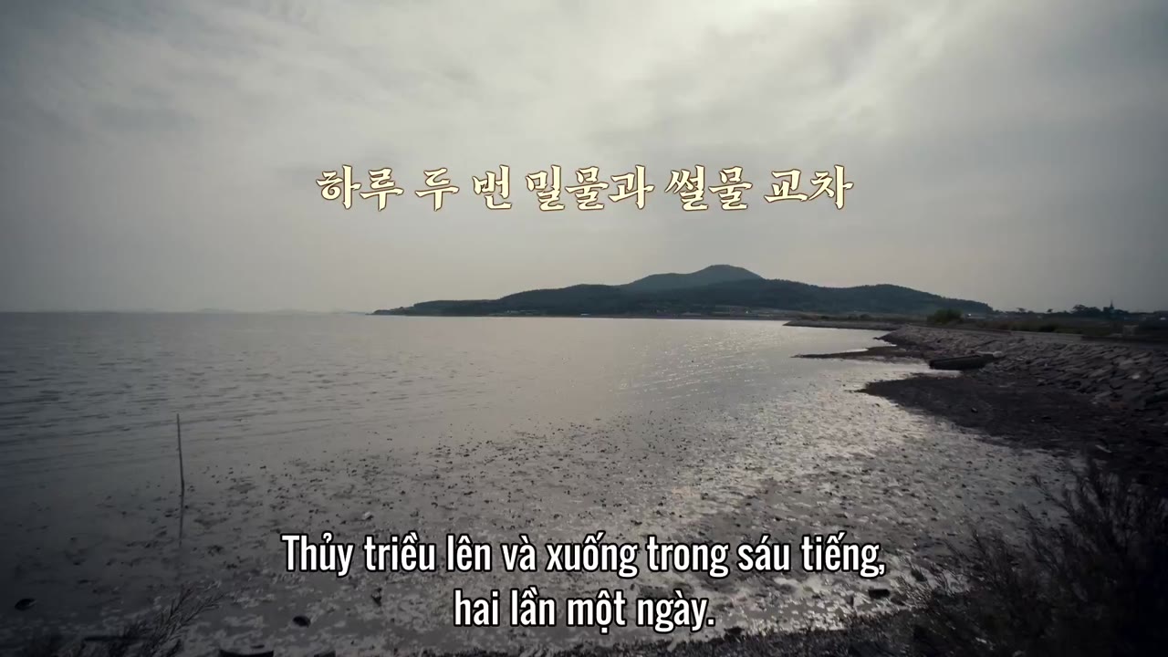 Số 1 Hàn Quốc tập 3