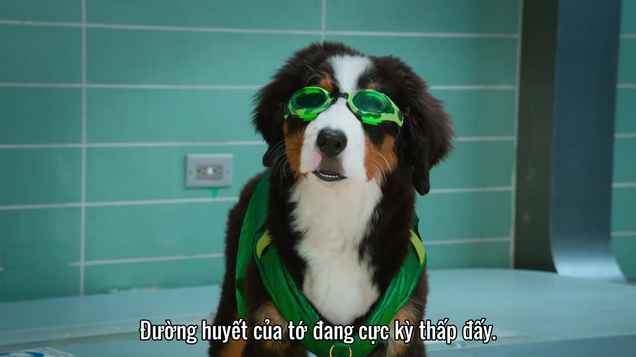 Super PupZ: Những chú cún siêu năng tập 9