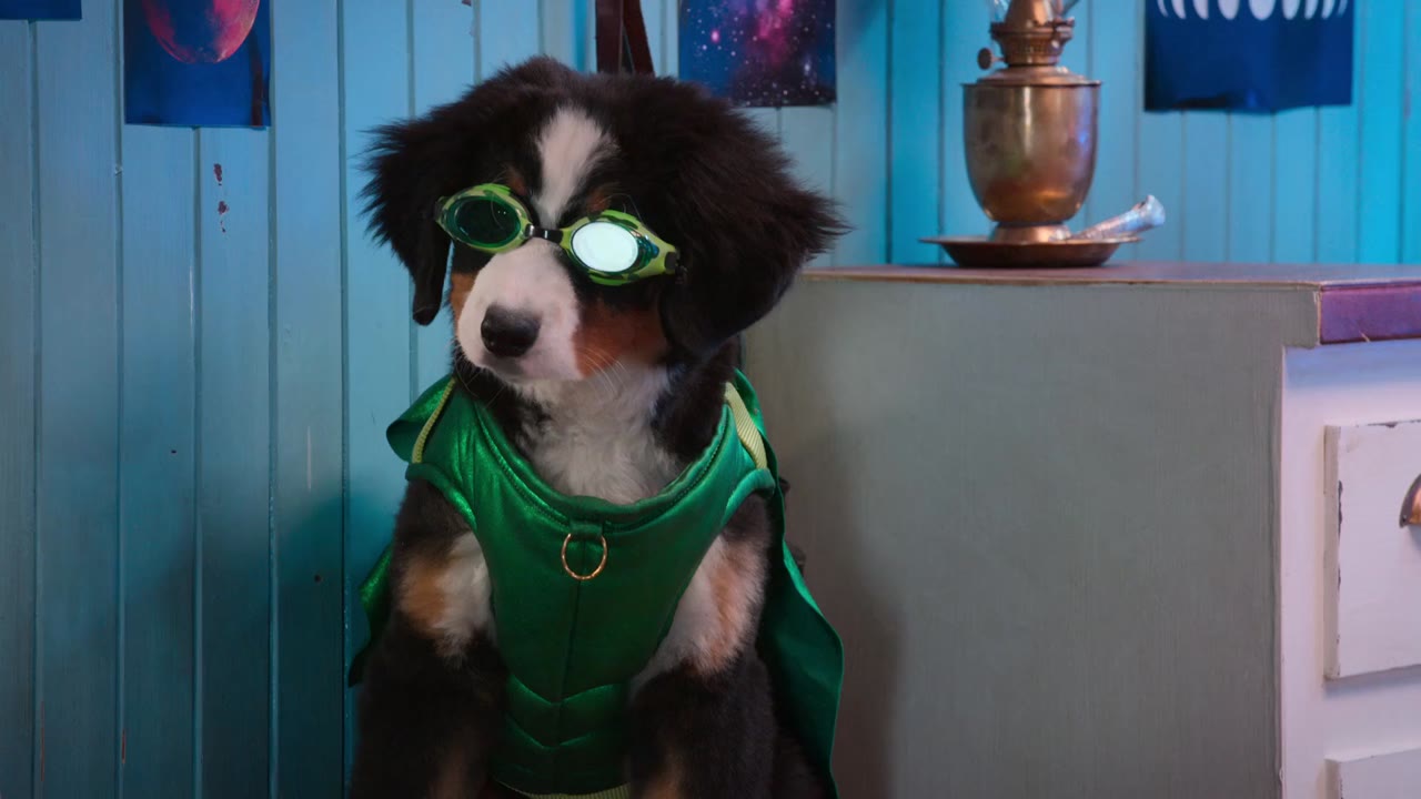 Super PupZ: Những chú cún siêu năng tập 9 cảnh 2
