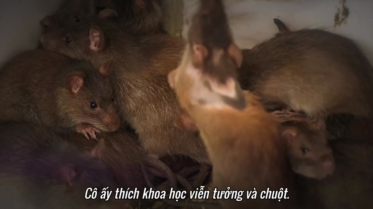 Tình Yêu Trên Phổ Tự Kỷ: Hoa Kỳ tập 6