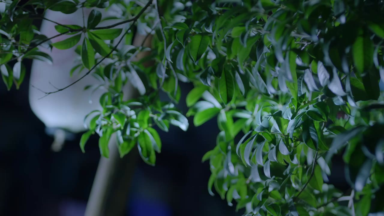 Xin Chào Chúng Tôi Là Hoan Hỉ Thiên Đoàn tập 1 cảnh 2