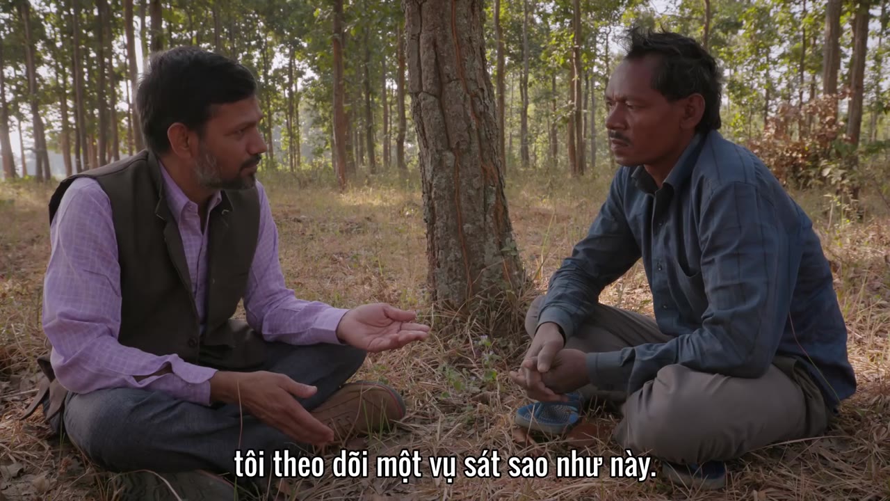 Giết cọp trong hang tập 1 cảnh 2