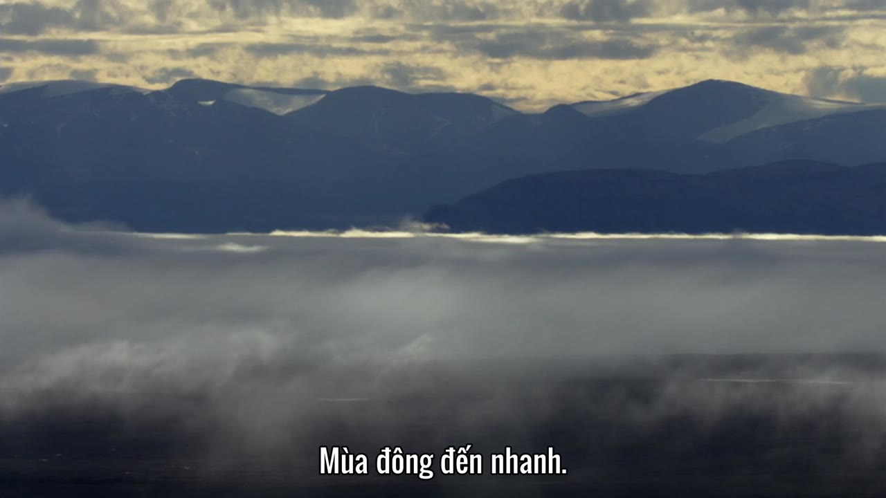 Săn Mồi tập 2 cảnh 3