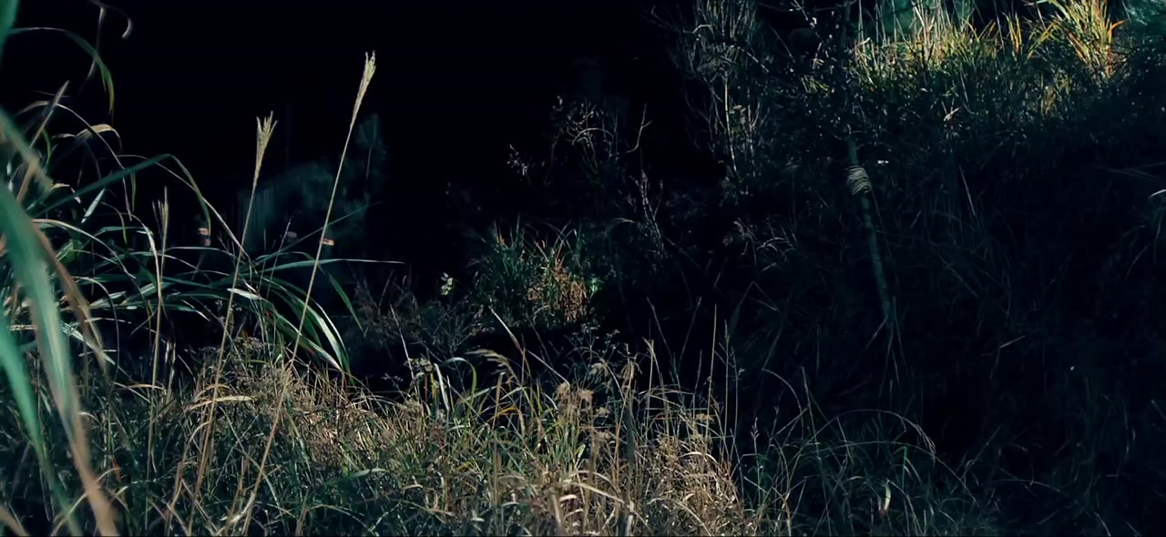 Thiếu Niên Bao Chửng tập 10