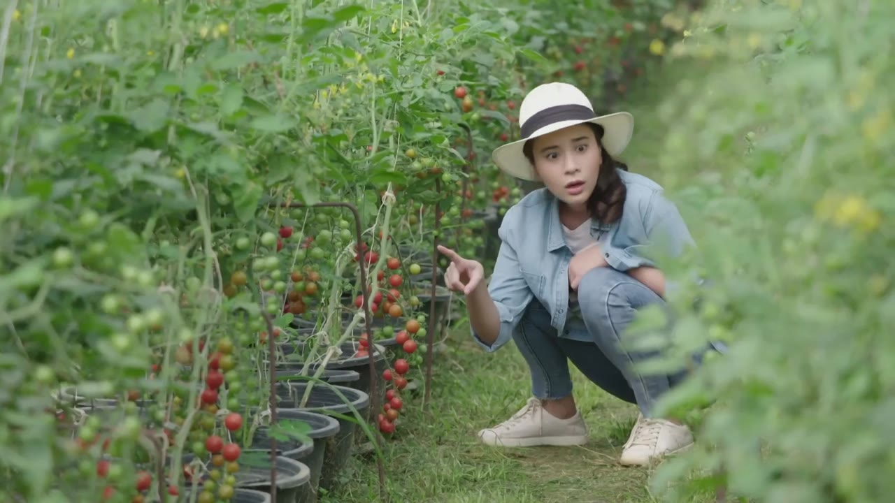 Miễn Bầu Trời Còn Có Mặt Trời tập 20