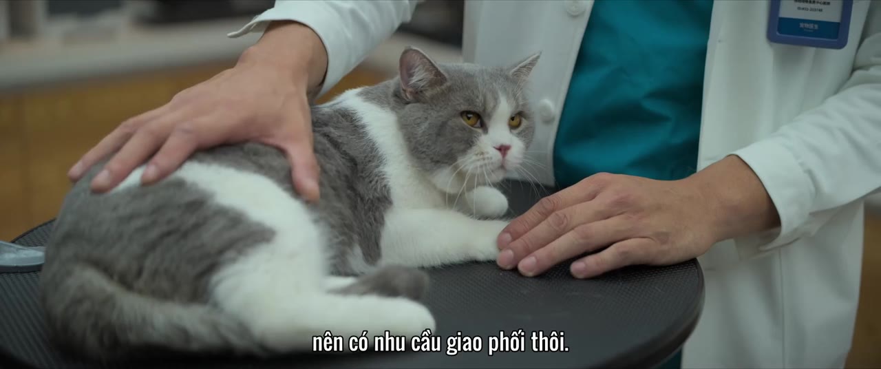 Các Cô Ấy Của Hôm Nay tập 14