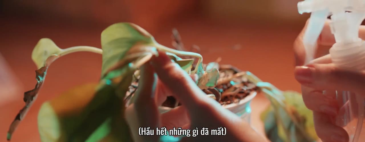 Khi Mây Đen Gặp Trăng Sáng tập 16
