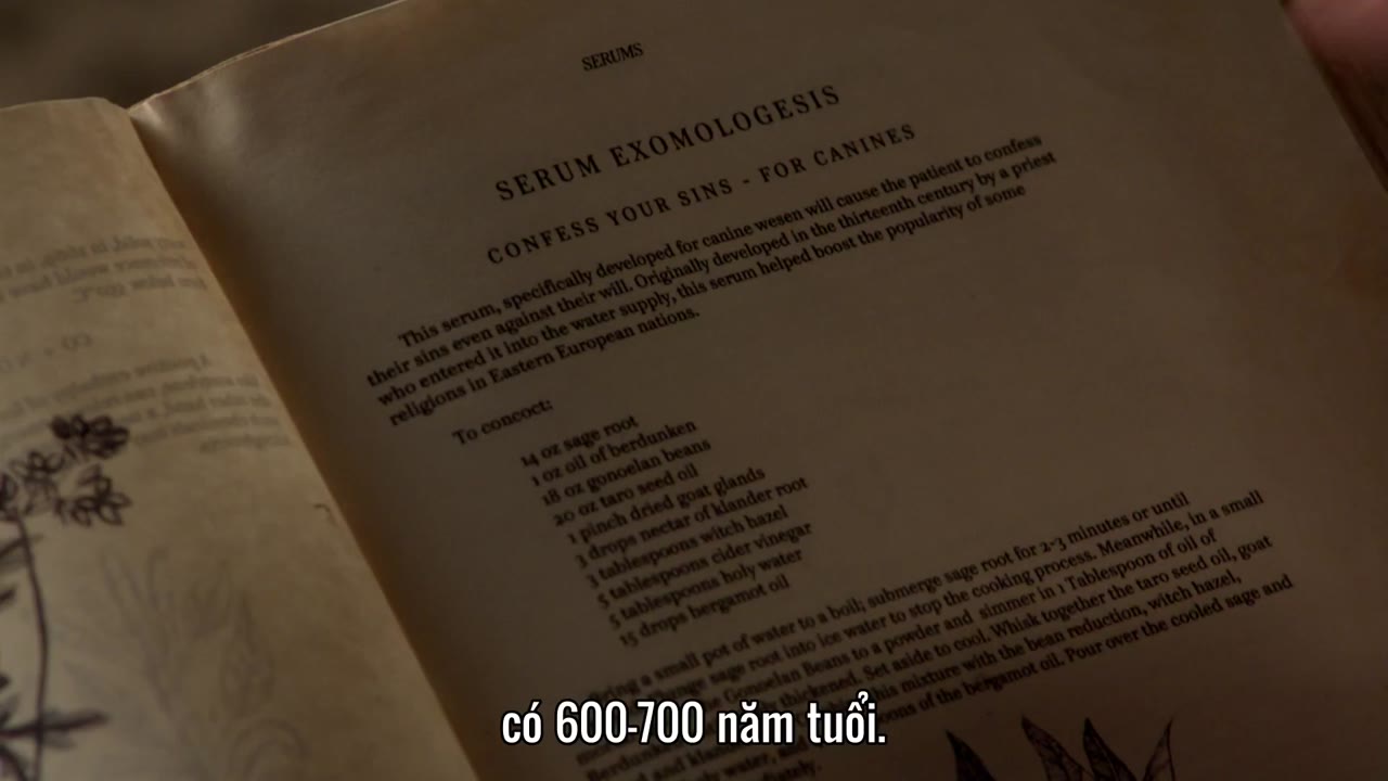 Anh Em Nhà Grimm (Phần 1) tập 10