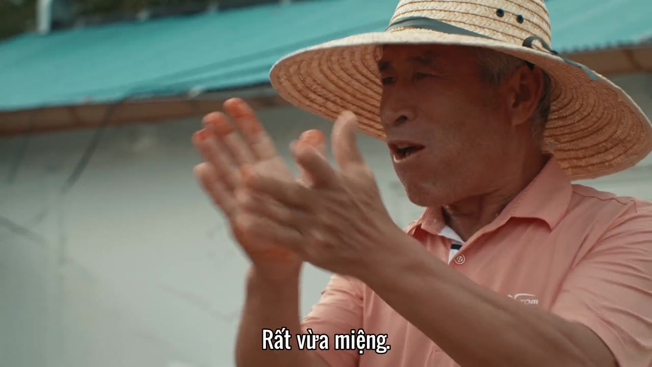 Hàn Quốc: Xứ sở kim chi tập 1