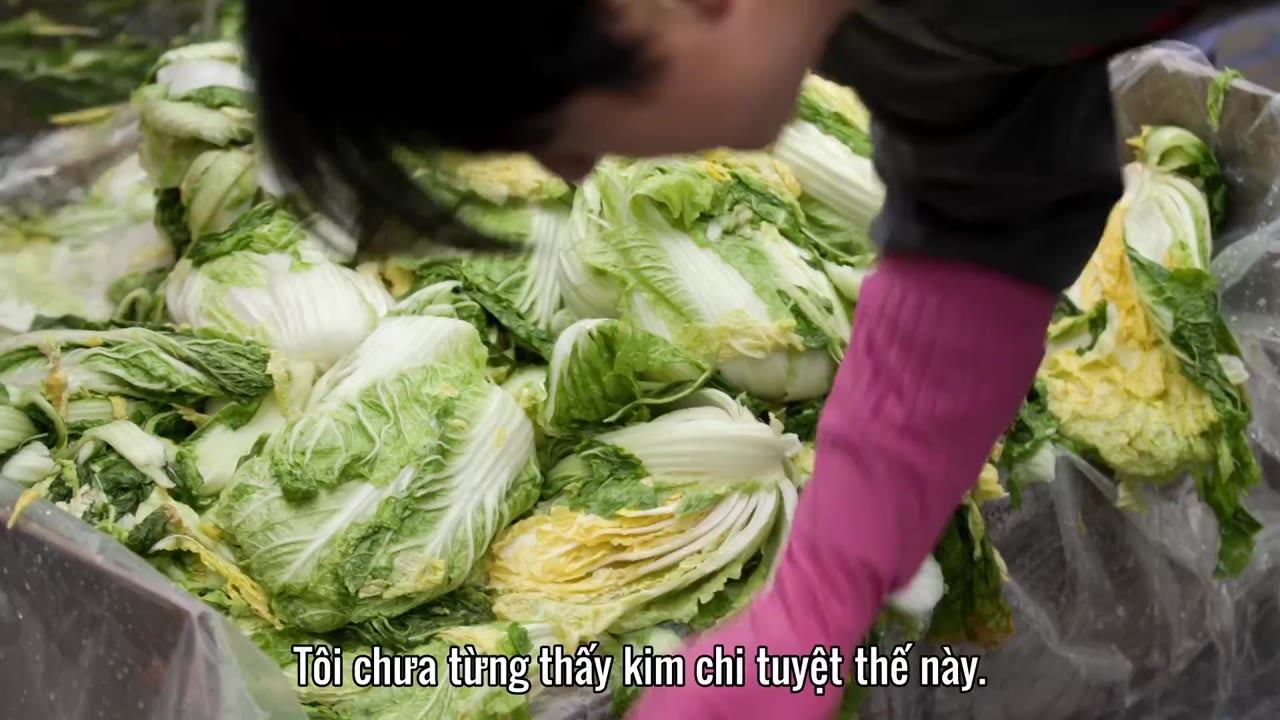 Hàn Quốc: Xứ sở kim chi tập 2 cảnh 2