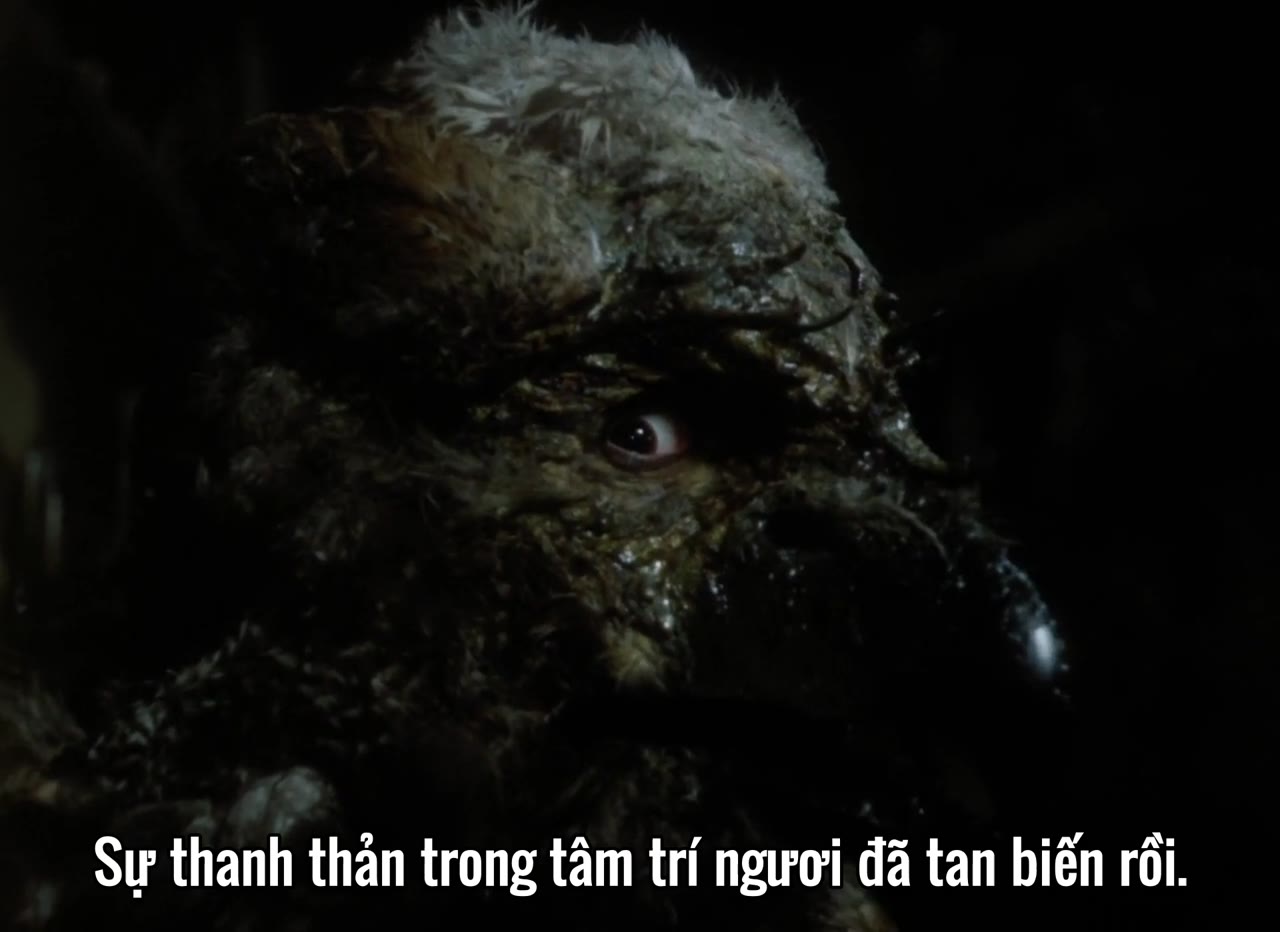 Mỹ nhân và Quái vật - cảnh 2