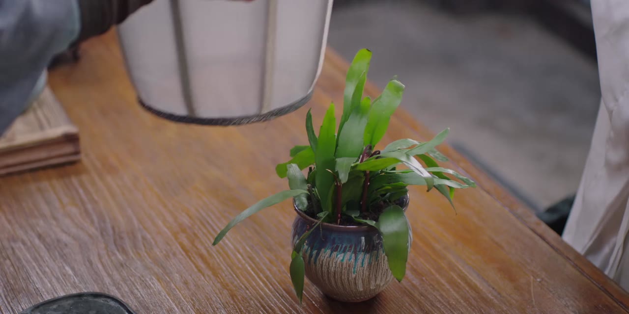 Khổng Tước Thánh Sứ Xin Hãy Rung Động tập 5