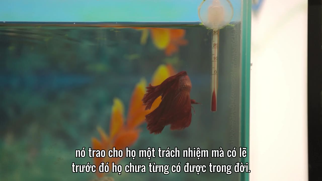 Bên Trong Những Nhà Tù Khốc Liệt Nhất Thế Giới (Phần 7) tập 2 cảnh 2