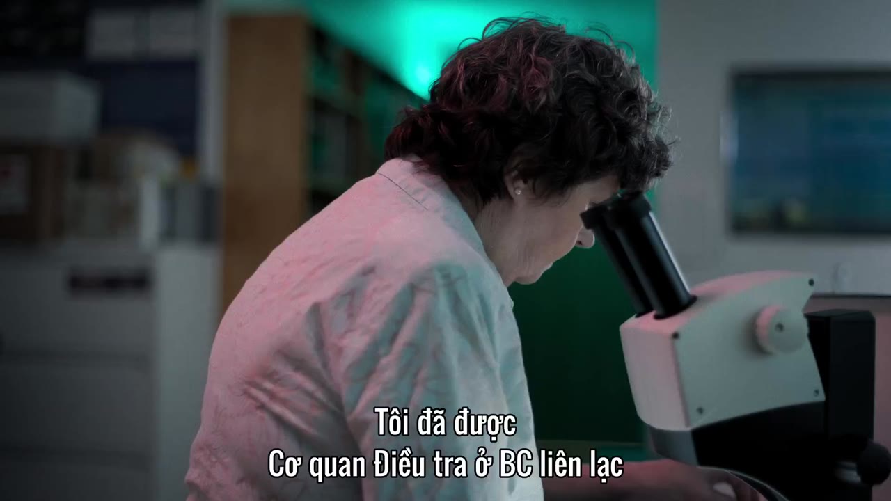 Hồ sơ chưa lời giải tập 8 cảnh 2