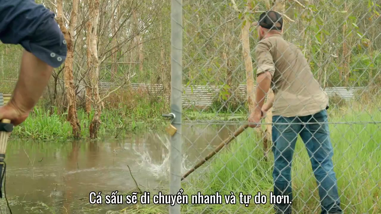 Lãnh địa cá sấu hoang tập 7