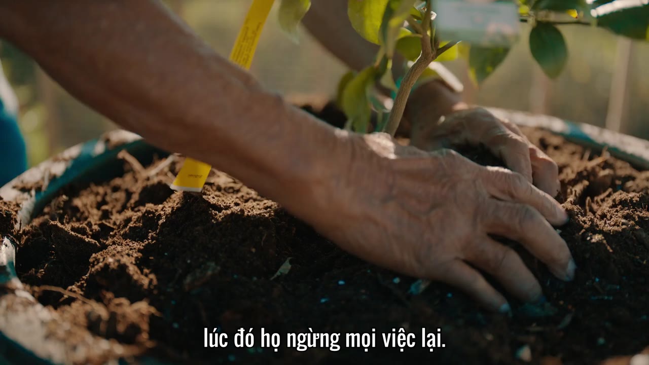 Sống đến 100: Bí quyết của Blue Zones tập 2 cảnh 3
