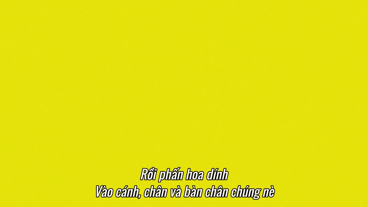 Rô Bốt Biết Tuốt: Giờ Giải Đáp (Phần 2) tập 2 cảnh 2