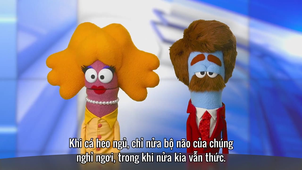 Rô Bốt Biết Tuốt: Giờ Giải Đáp (Phần 2) tập 8