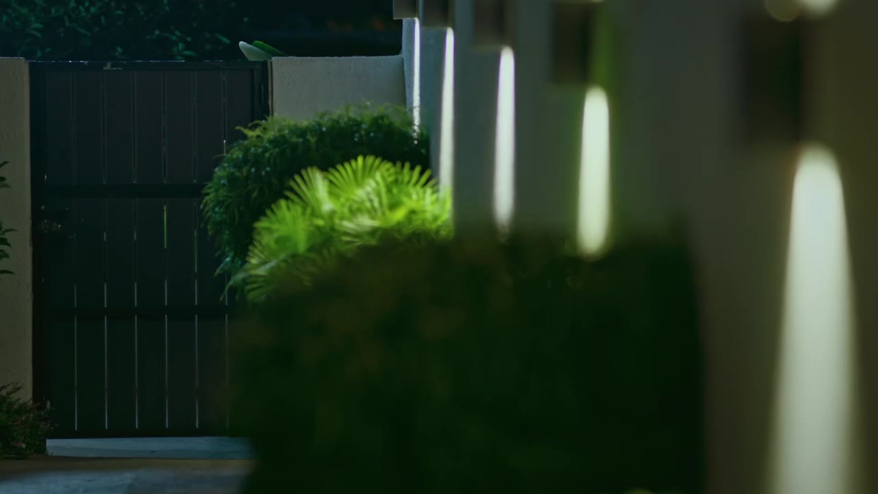 Phi Hổ 3 tập 2 cảnh 2
