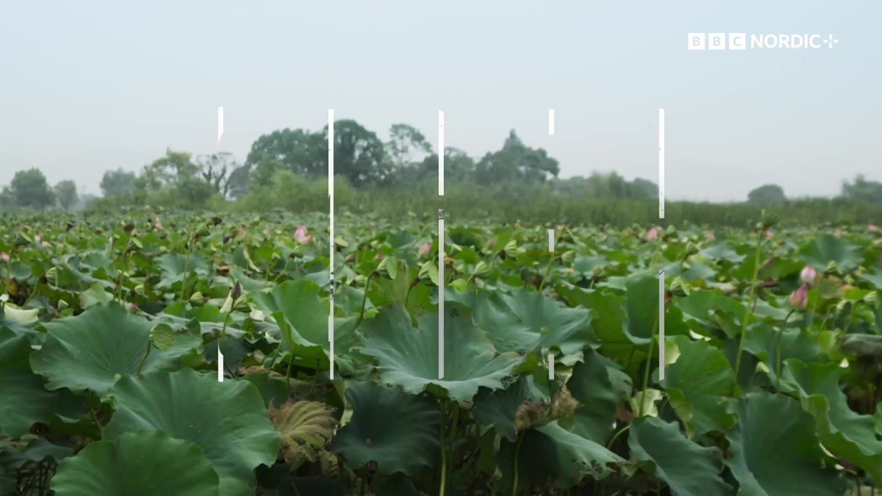 Các Cường Quốc Cổ Đại tập 4