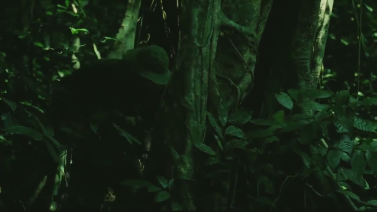 Đường Thư tập 1