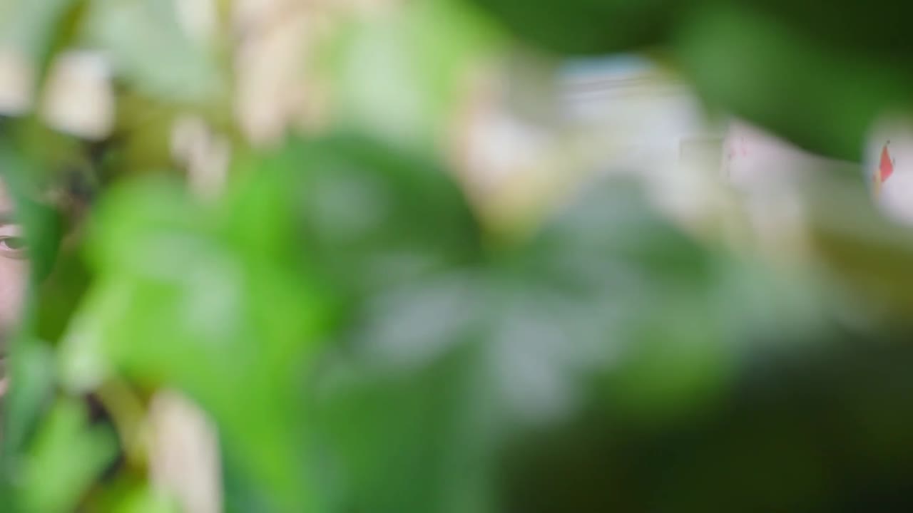 Lần Đầu Tiên Trong Cuộc Đời tập 2