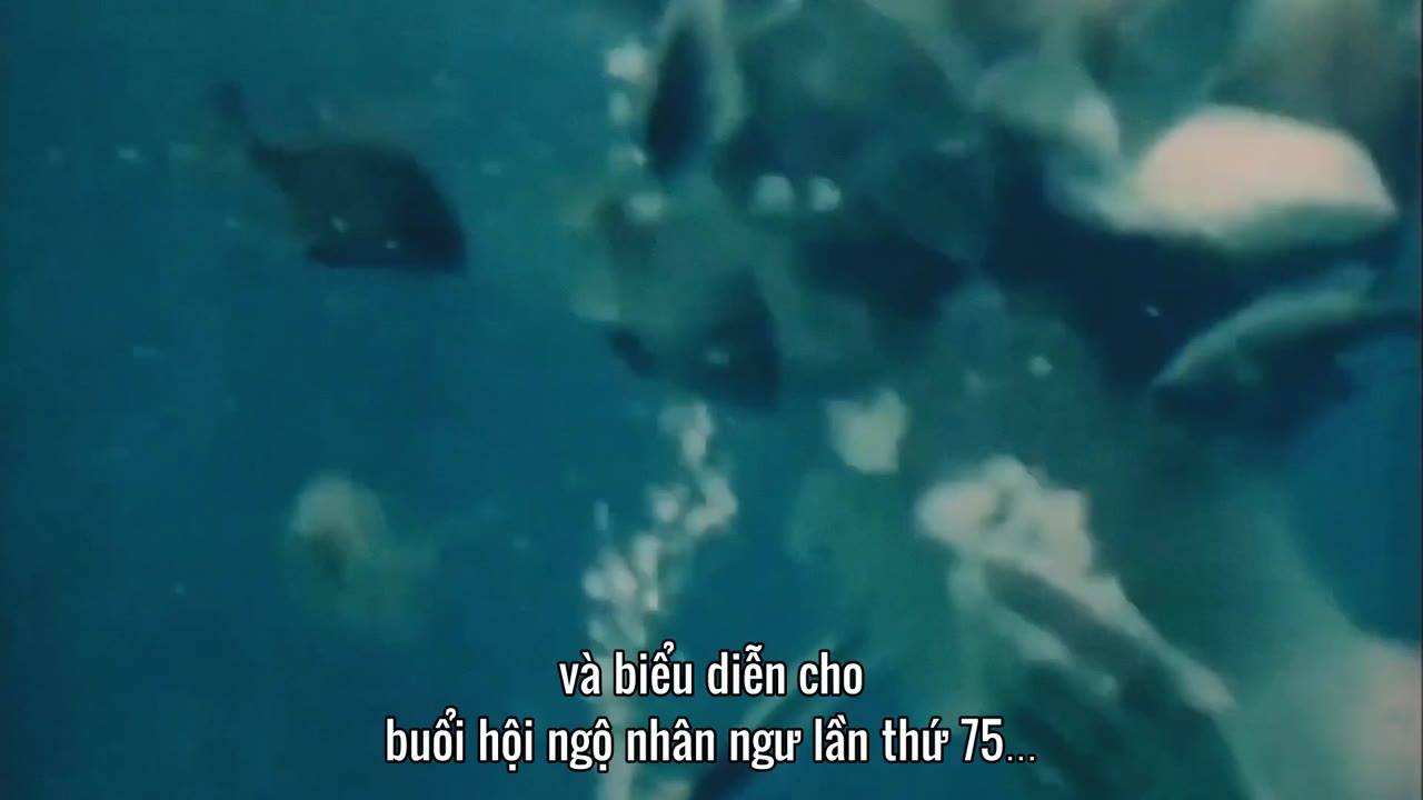 MerPeople: Nghề nhân ngư tập 4