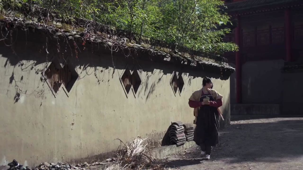Vi Vũ Yến Song Phi tập 1