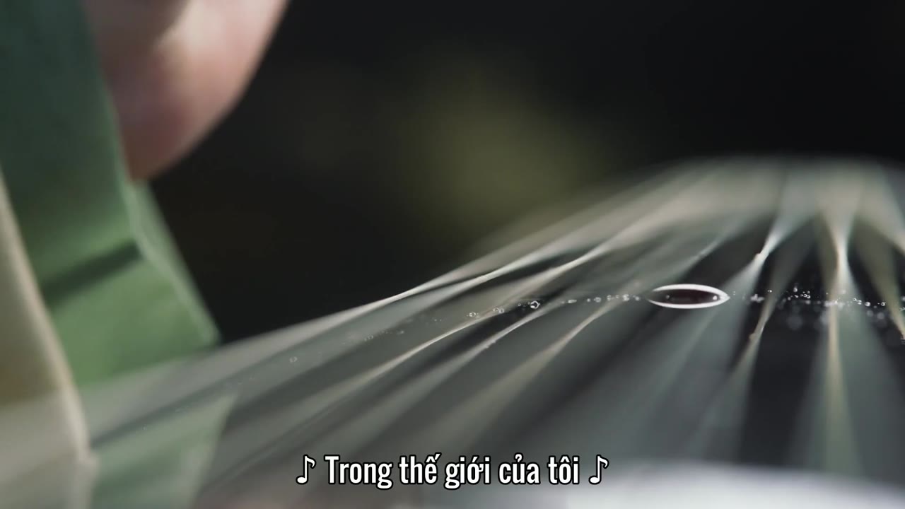 Vi Vũ Yến Song Phi tập 26