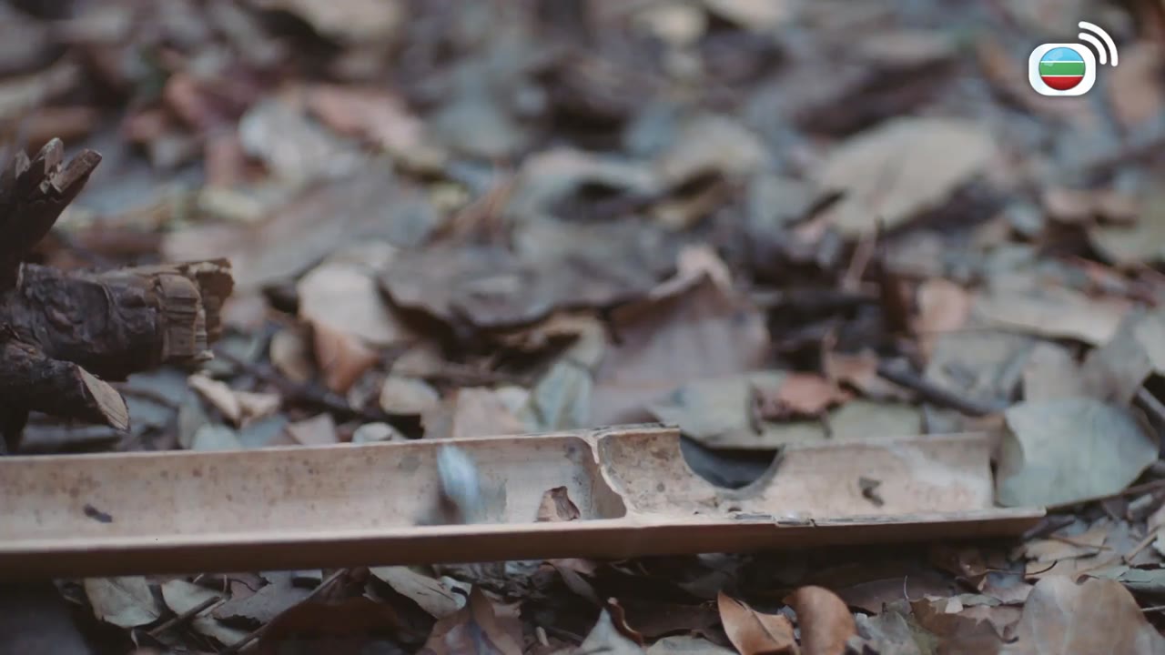 Trạng Vương Chi Vương tập 1