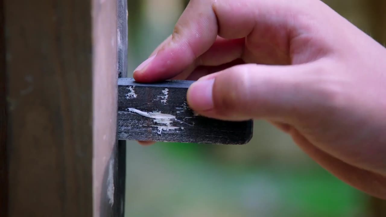 Hội Độc Thân tập 36