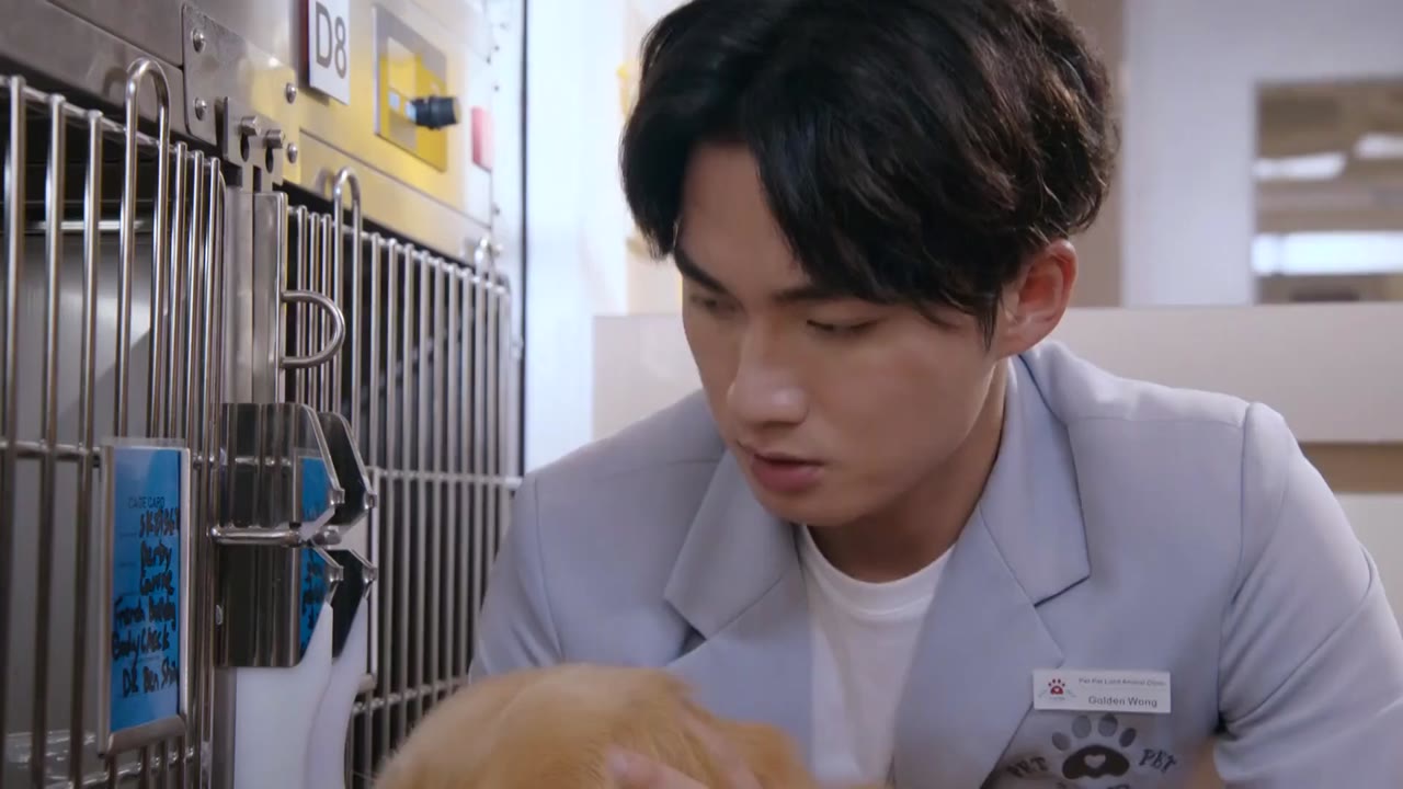 Chó Cưng Của Tôi tập 13 cảnh 2