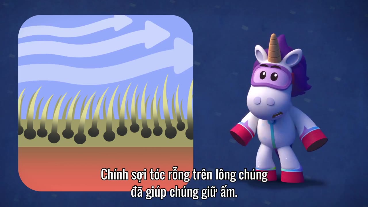 Go Jetters: Du hành thế giới (Phần 1) tập 52