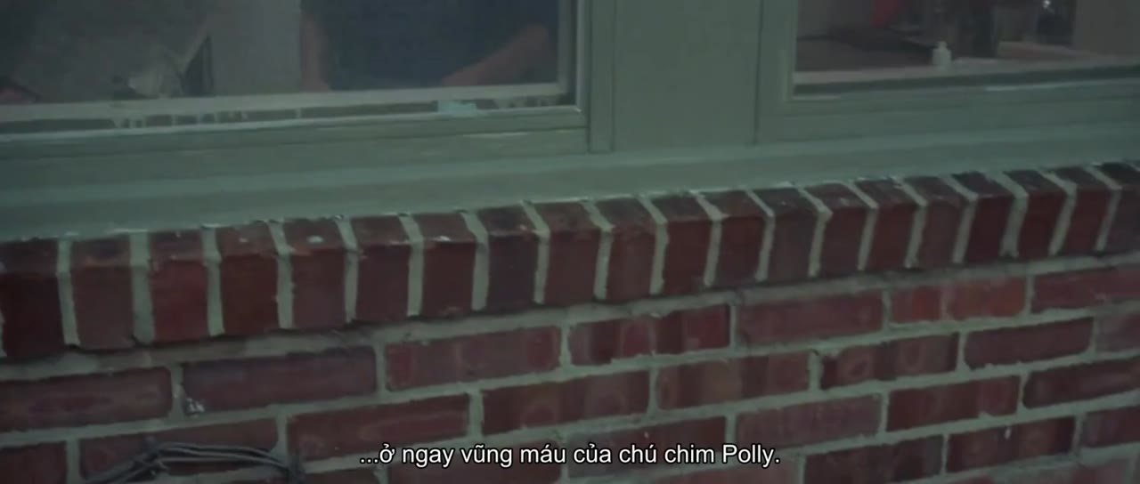 Mắt mèo - cảnh 3