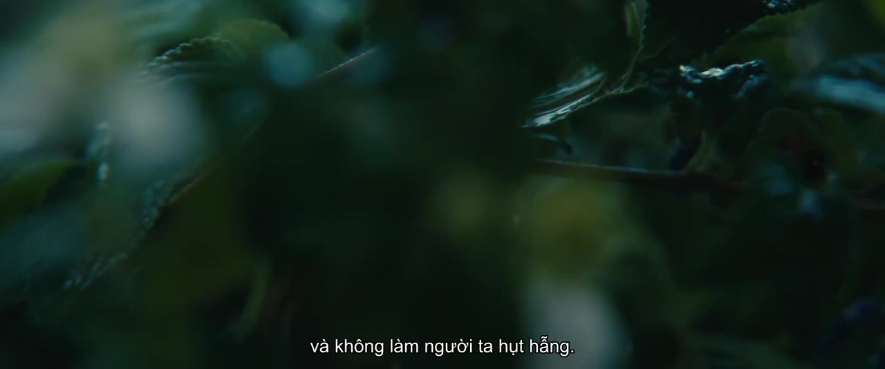 120 Nhịp Tim 1 Phút tập 1